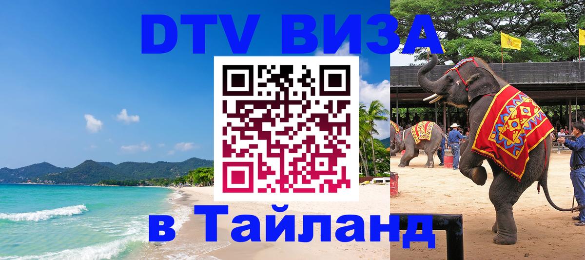 Оформление DTV визы под ключ: стоимость и тарифы, только загранпаспорт - 08.01.2026 